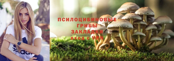 стафф Алексеевка