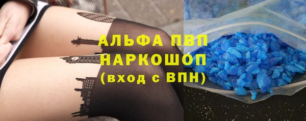 СК Алексин