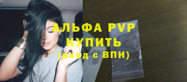 СК Алексин
