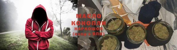 СК Алексин