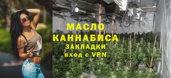 СК Алексин