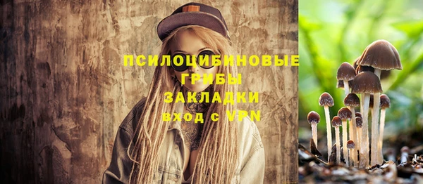 СК Алексин