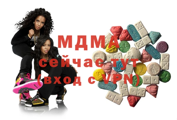 СК Алексин