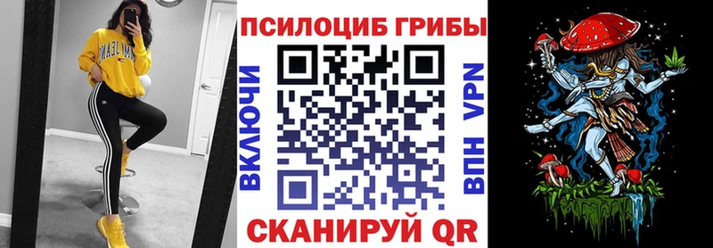 Галлюциногенные грибы прущие грибы  где продают наркотики  Макушино 